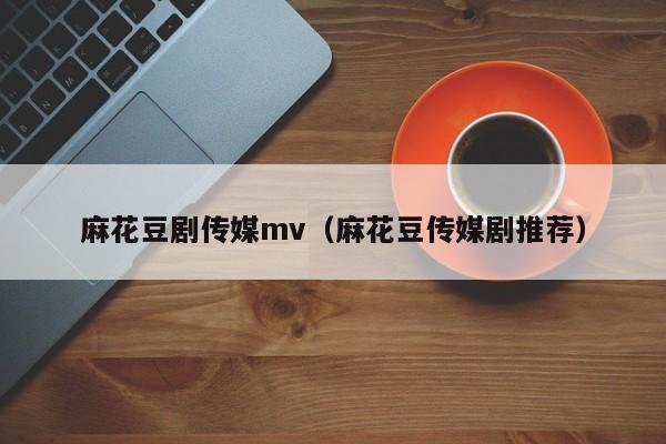 麻花豆剧传媒mv(麻花豆传媒剧推荐)