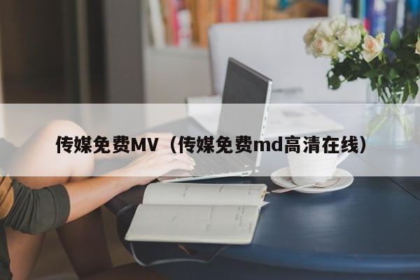 传媒免费MV(传媒免费md高清在线)